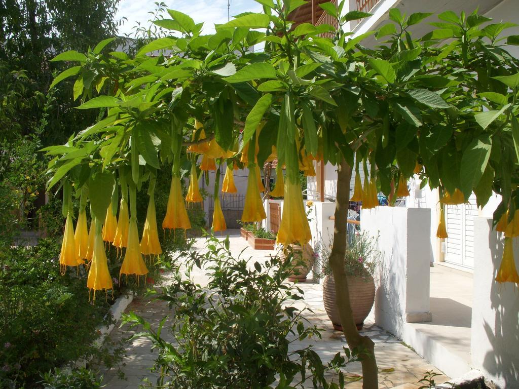 Likourgos Beach Kavos Bagian luar foto